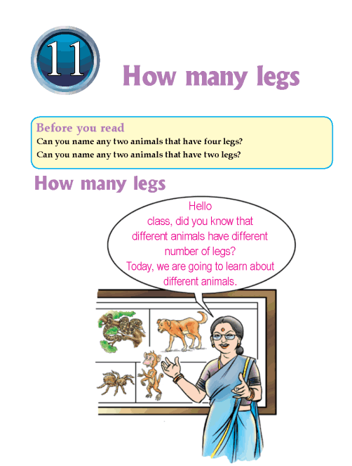 Literature Grade 1 Non-fiction How many legs